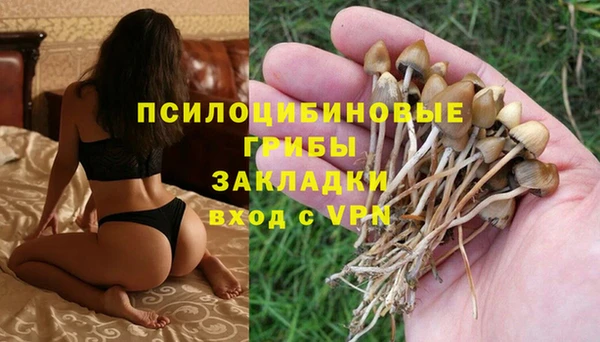 кокаин премиум Алексеевка