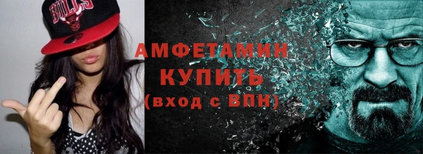 шишки Пестово
