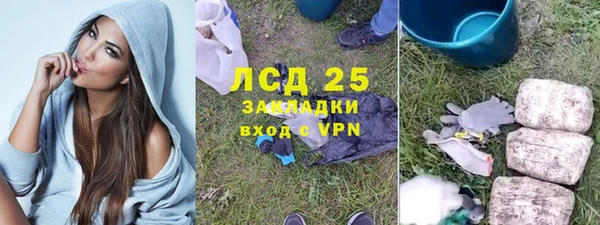 ECSTASY Алзамай