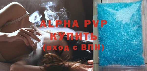 шишки Пестово