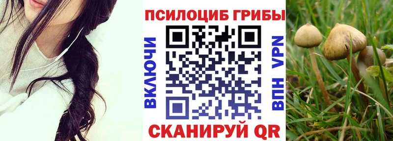 Псилоцибиновые грибы Magic Shrooms  Калининск 